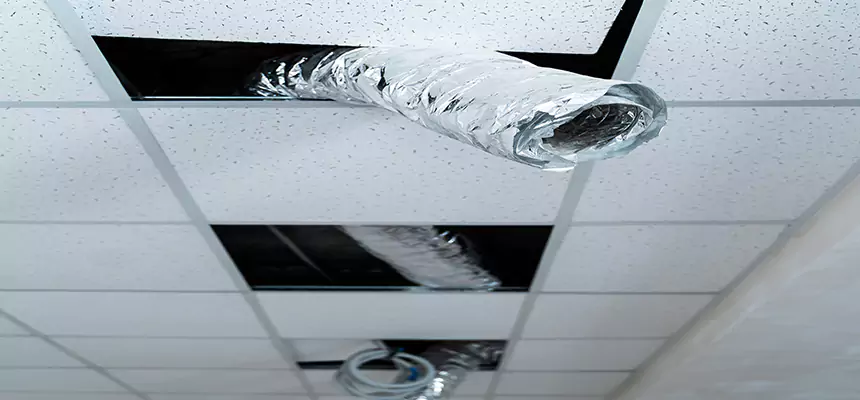 Affordable HVAC Sanitizing After Pest Removal in Lathrop