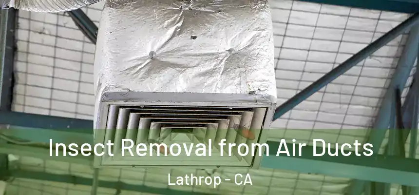  Insect Removal from Air Ducts Lathrop - CA
