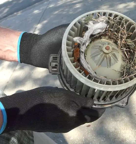 About Air Duct Mice Removal in Lathrop, CA