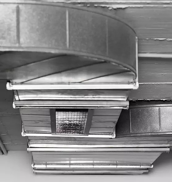 Professional Air Duct Pest Removal in Lathrop, CA