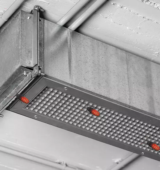 Affordable Insect Removal from Air Ducts in Lathrop, CA