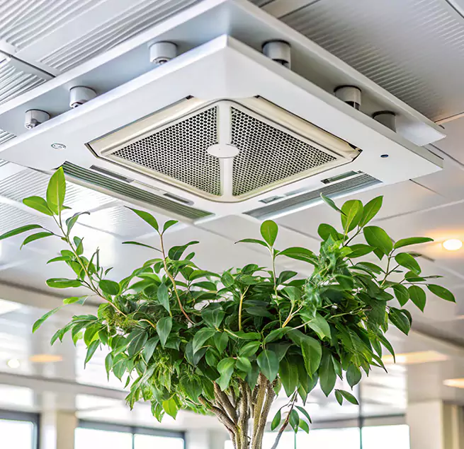 Why Homeowners & Businesses Trust Us in Lathrop, CA