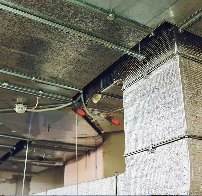 Why Homeowners & Businesses Trust Us Lathrop, CA?