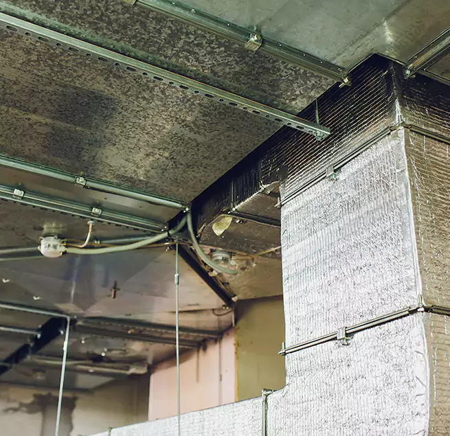 Why Homeowners & Businesses Trust Us in Lathrop, CA?